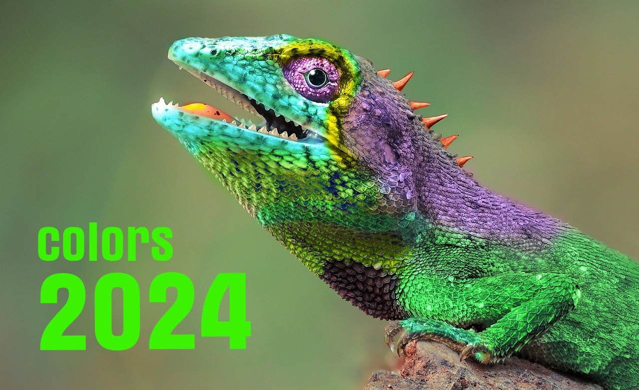 chameleon colors 2024 1